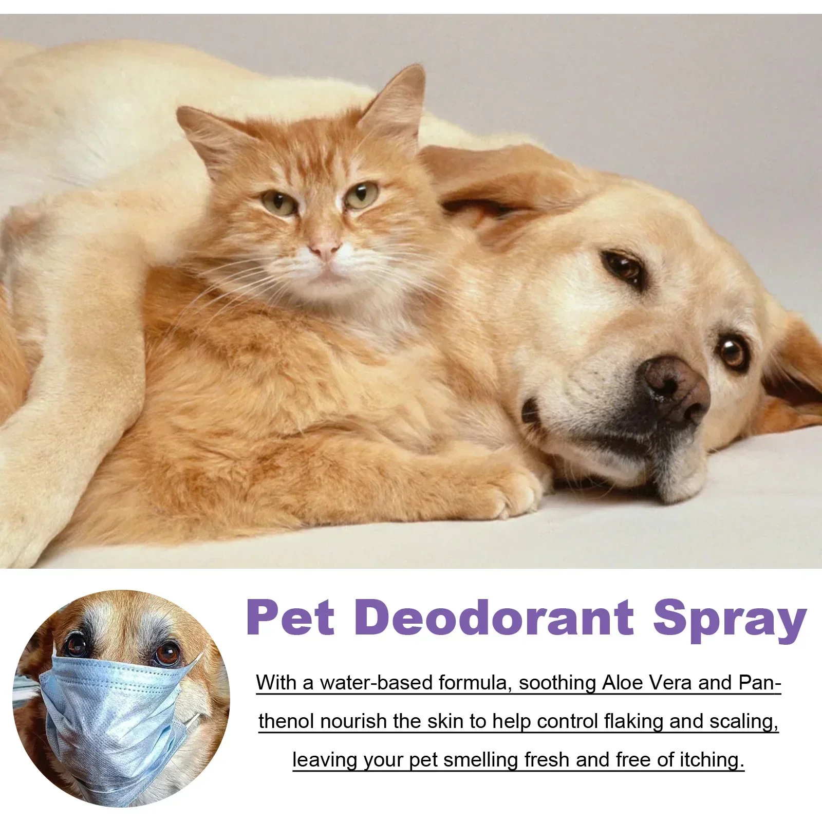 Pet Deodorization Spray 50ml D - Perfume Lavender Fragrance review and price
