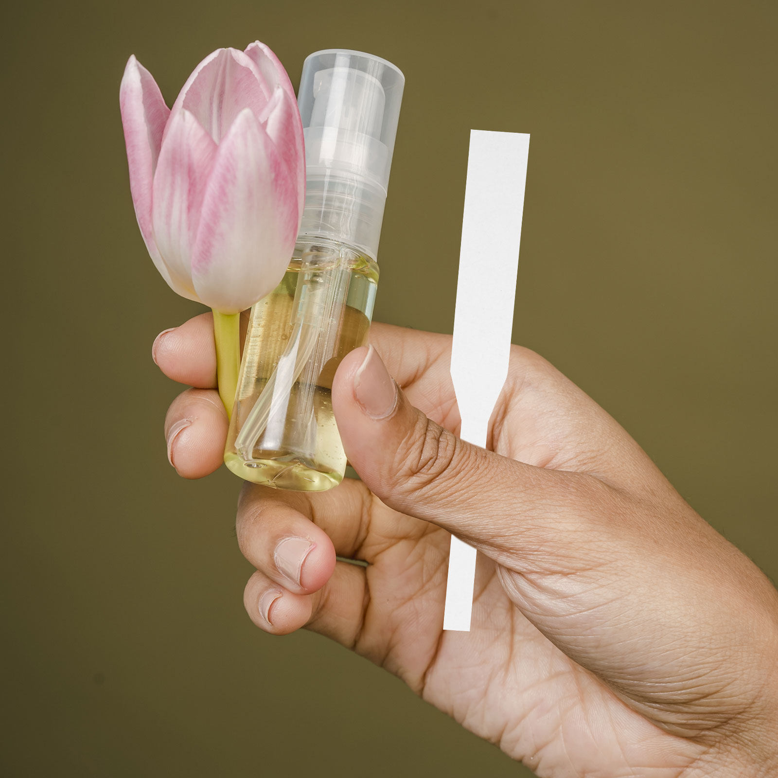 100Pcs Perfume Tester Strips P - Perfume In Fragrance Shop review and price